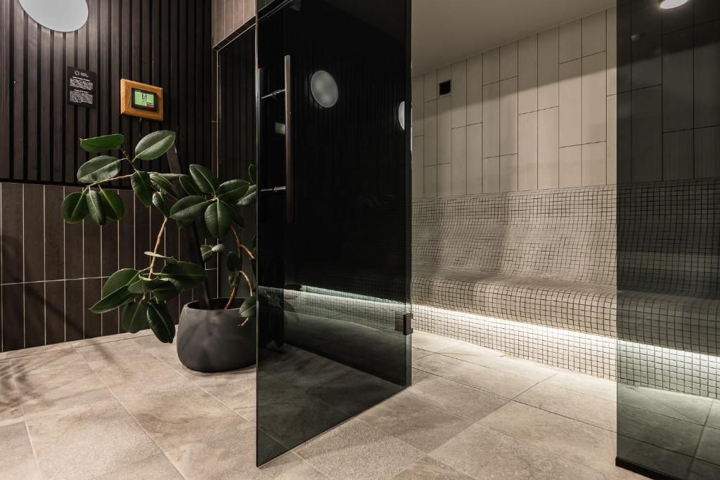 Um banheiro moderno com box de vidro, um vaso de planta e piso revestido de azulejos.