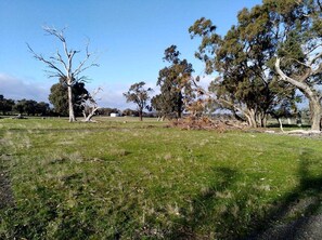 A grassy field with trees and a clear sky.