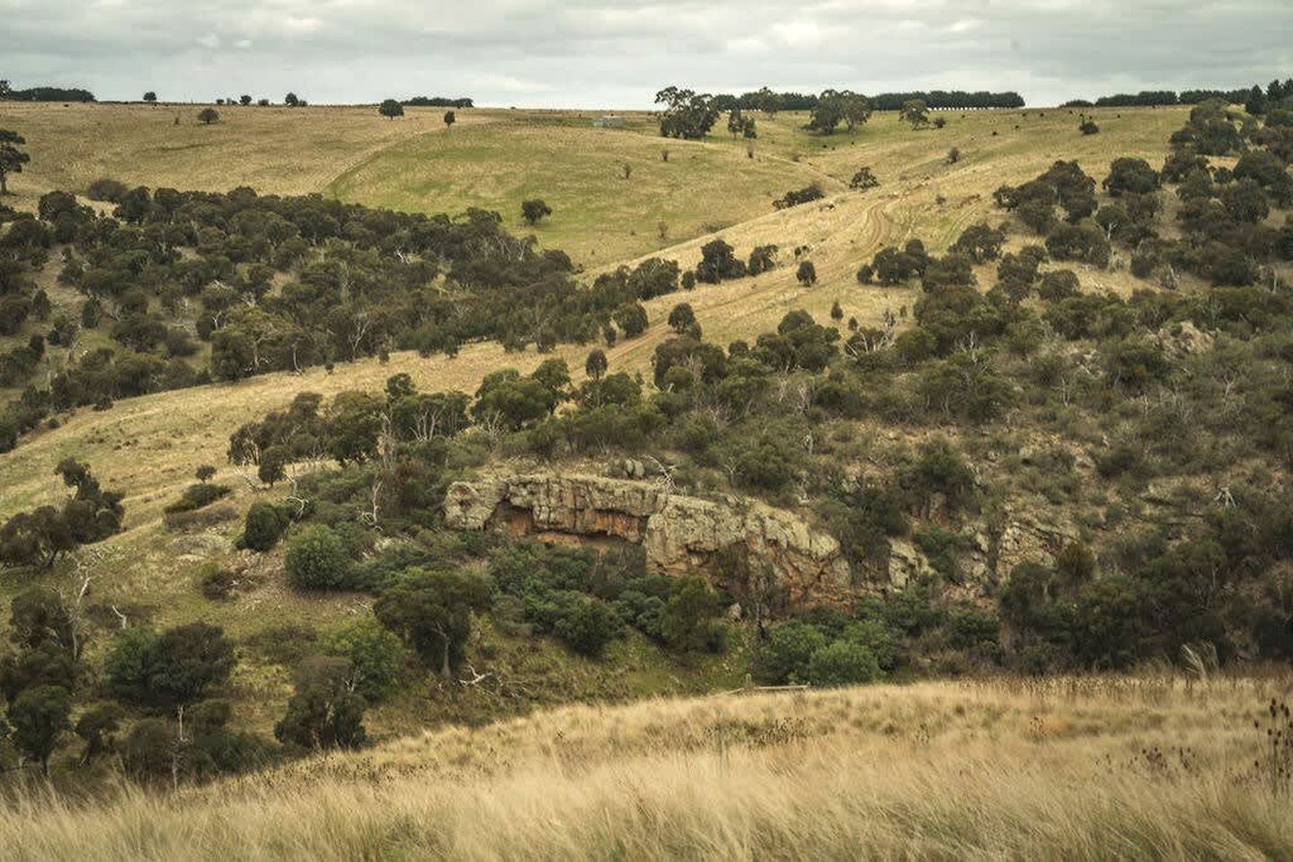 Paisagem acidentada com árvores esparsas e uma formação rochosa imponente.