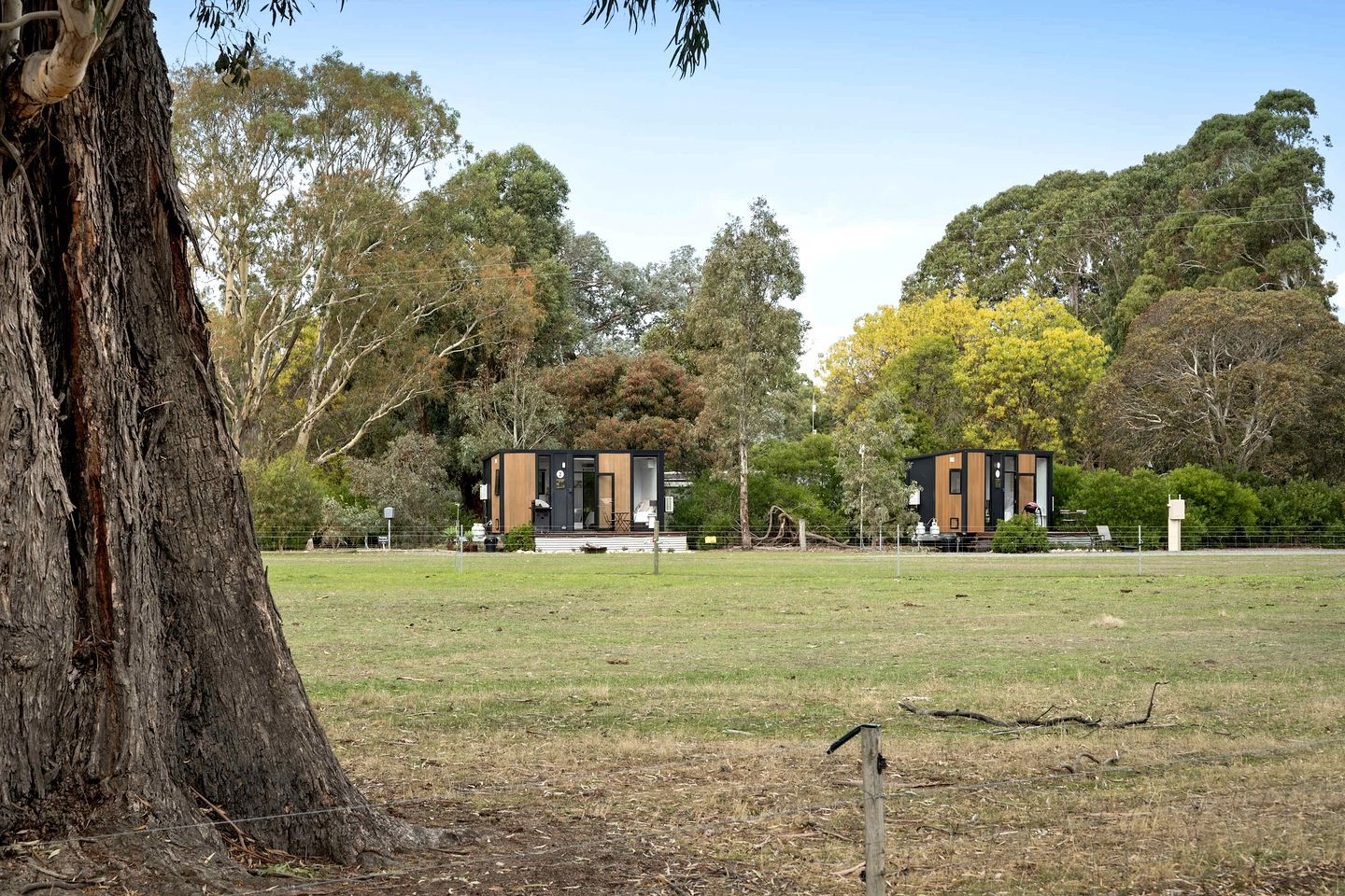 A modern building with a flat roof, surrounded by a grassy field and trees.