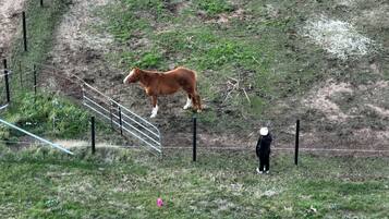 A fenced area with a horse and a person standing on a grassy slope.