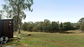 A fenced outdoor area with a small building, a pond, and trees in the background.