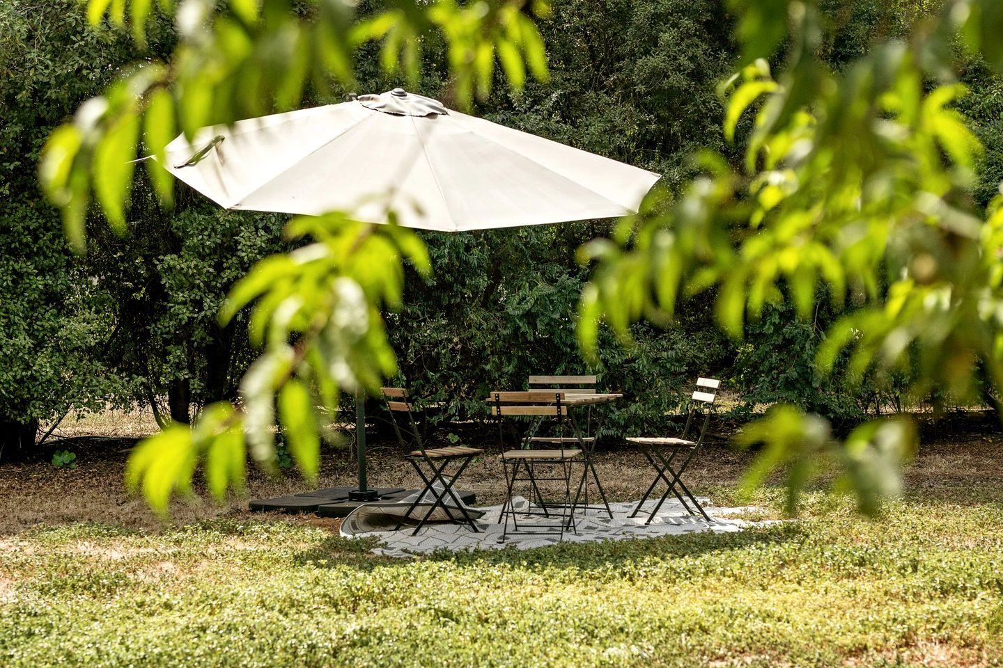 An outdoor seating area with a table and chairs under a large umbrella, surrounded by greenery.