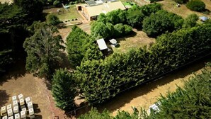 Unclassified image, 4 of 18, button - Fully Equipped Tiny House Perfect for an Intimate Getaway in Victoria (Lancefield)