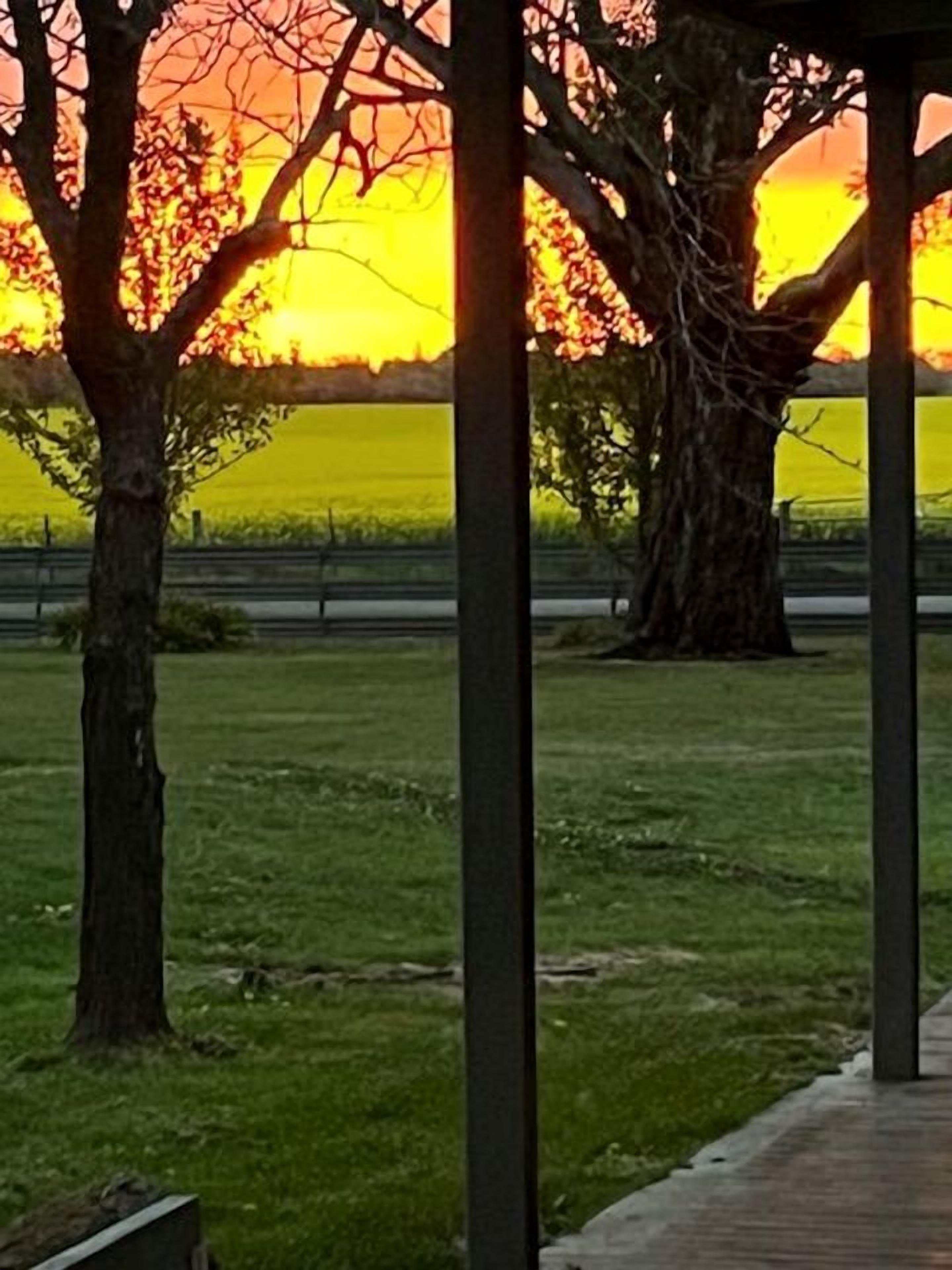 A park with a pathway, trees, and a view of a sunset over a body of water.