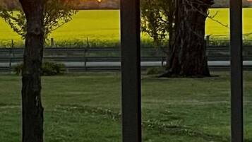 A park with a pathway, trees, and a view of a sunset over a body of water.
