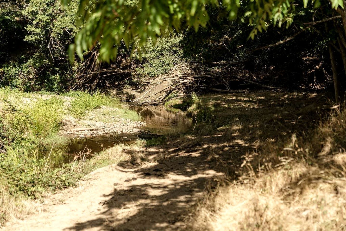 Een natuurlijke omgeving, met een pad van aarde dat leidt naar een klein waterlichaam, omringd door weelderige begroeiing en bomen.