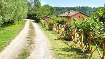 A gravel path leading to a row of rustic houses with a wooden fence and flowering plants.