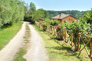Un sentiero sterrato conduce a una fila di case rustiche, con una recinzione in legno e piante fiorite.