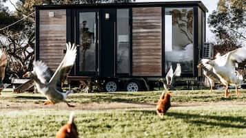 A modern mobile home with a large sliding door, a small porch, and a grassy yard.