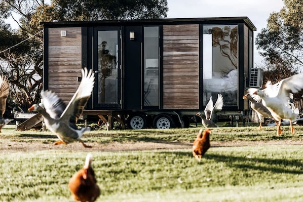 A modern mobile home with a large sliding door, a small porch, and a grassy yard.