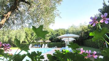 A swimming pool with lounge chairs and umbrellas, surrounded by greenery and trees.