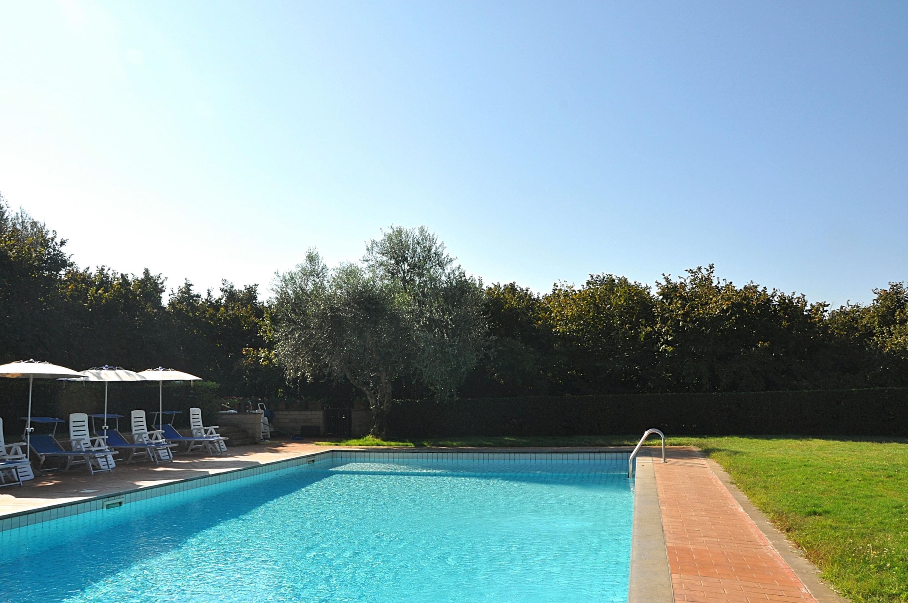 A rectangular swimming pool with a tiled edge, surrounded by a brick pathway.