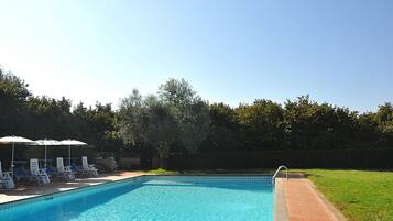 A rectangular swimming pool with a tiled edge, surrounded by a brick pathway.