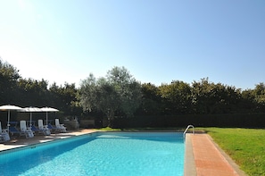 A rectangular swimming pool with a tiled edge, surrounded by a brick pathway. - Montecasciano Lavanda (Capranica)