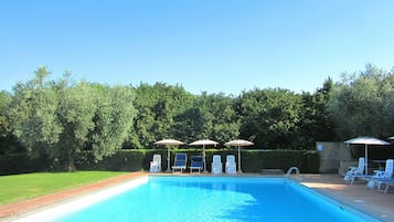 A swimming pool with lounge chairs and umbrellas, surrounded by a hedge and trees.