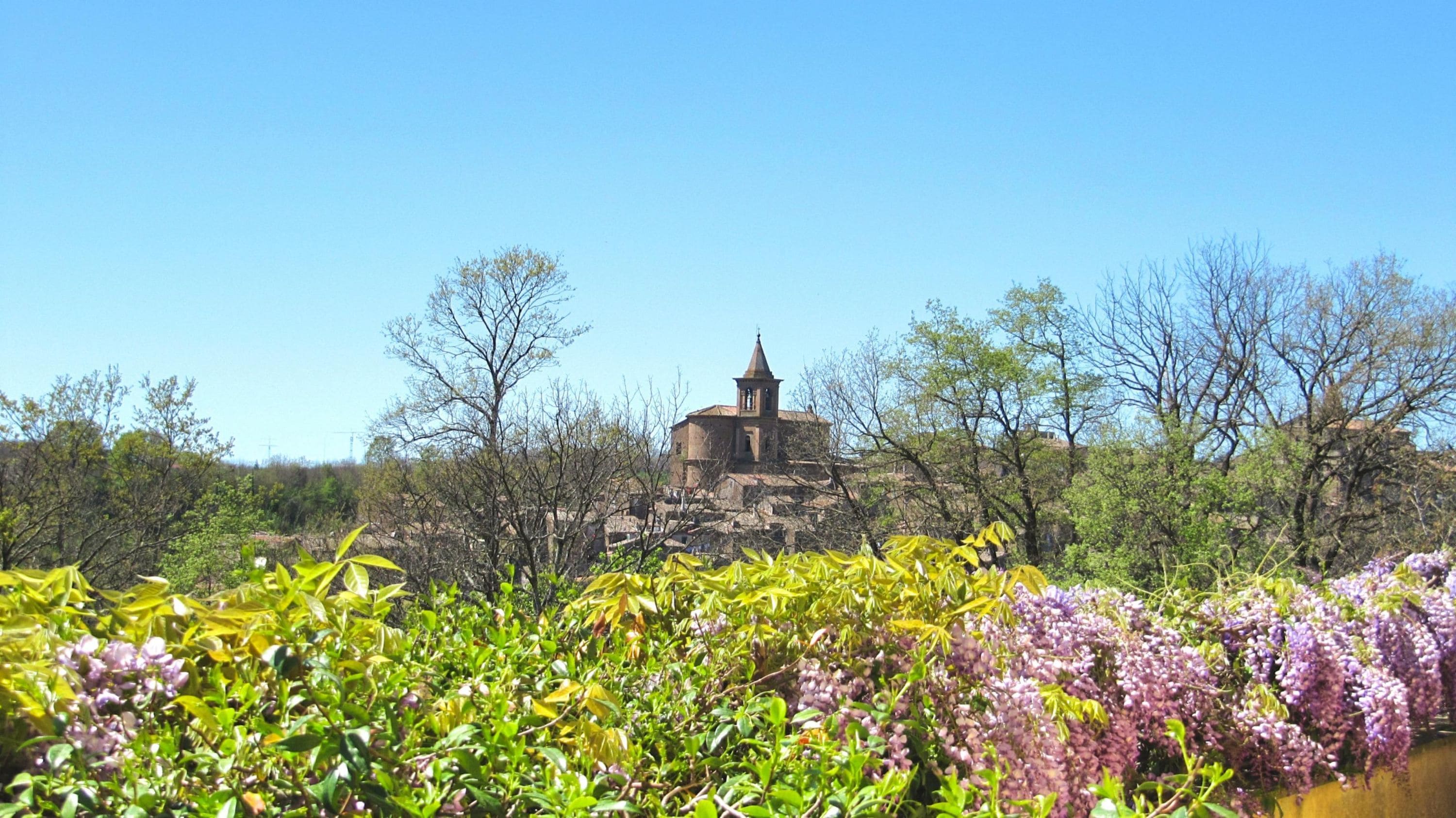 A historic building with a bell tower, surrounded by lush greenery and flowering plants.
