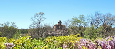 A historic building with a bell tower, surrounded by lush greenery and flowering plants.