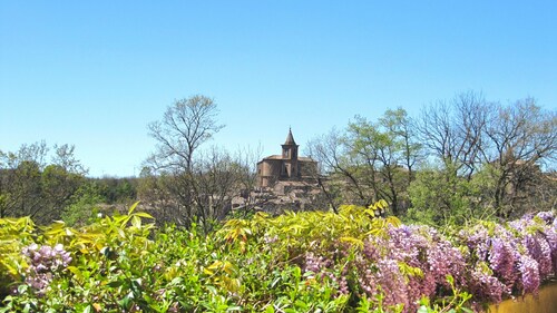 Montecasciano Rosa