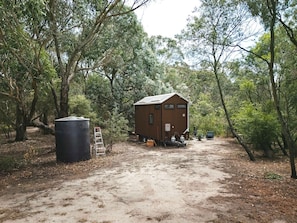 A rustic cabin with a dirt ground, surrounded by trees.