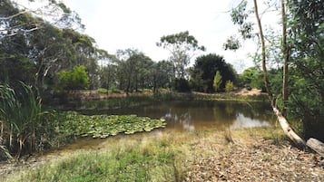 Un paisaje natural con un estanque, rodeado de árboles y vegetación.