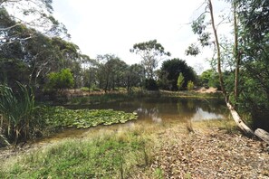A natural landscape with a pond, surrounded by trees and vegetation.