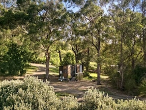A small, single-story cabin with a door and windows, surrounded by dense trees and shrubs.