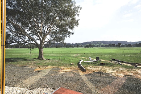 An outdoor area with a large tree, a picnic table, and a grassy field.