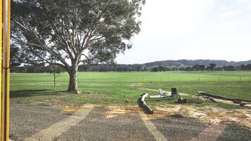 Un espacio al aire libre con un árbol grande, una mesa de picnic y un campo cubierto de césped.
