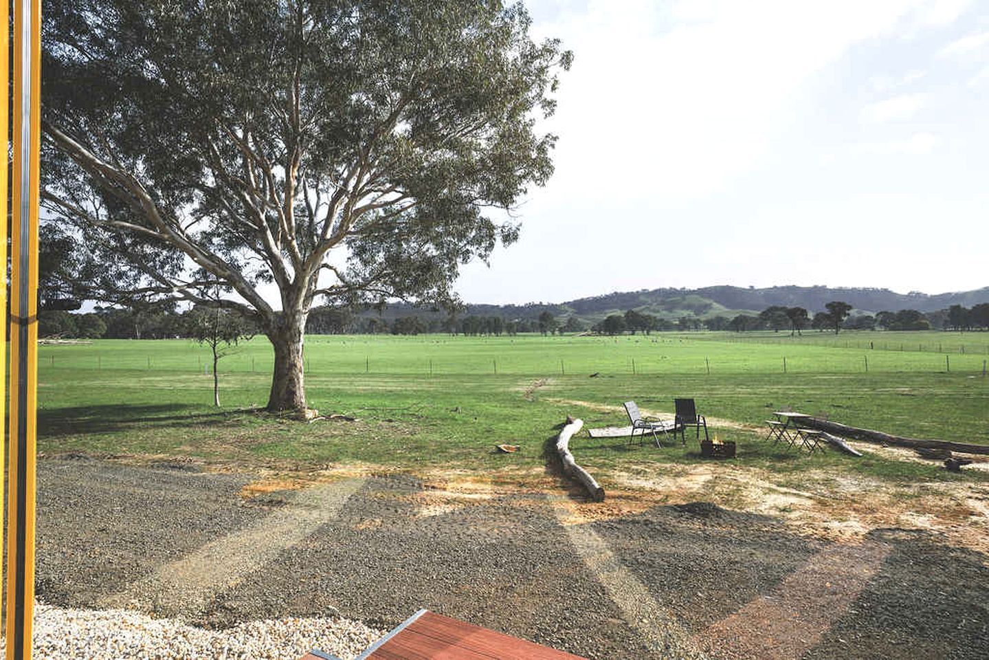 An outdoor area with a large tree, a picnic table, and a grassy field.