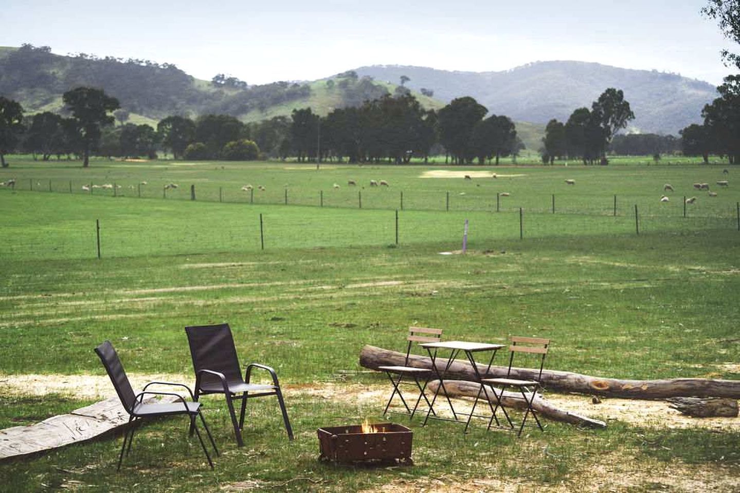 An outdoor seating area with chairs and a fire pit, surrounded by a fenced field with sheep.