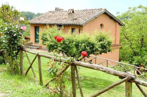 Montecasciano Tulipano
