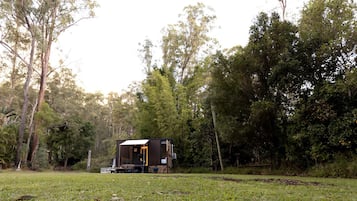 A small, dark-colored cabin with a visible deck area, surrounded by dense greenery and trees.
