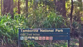 A sign for Tamborine National Park's Cedar Creek Section with hiking and camping symbols.