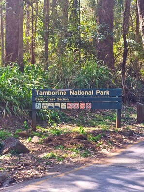 Placa indicando a seção Cedar Creek do Parque Nacional Tamborine, com símbolos de caminhada e camping.