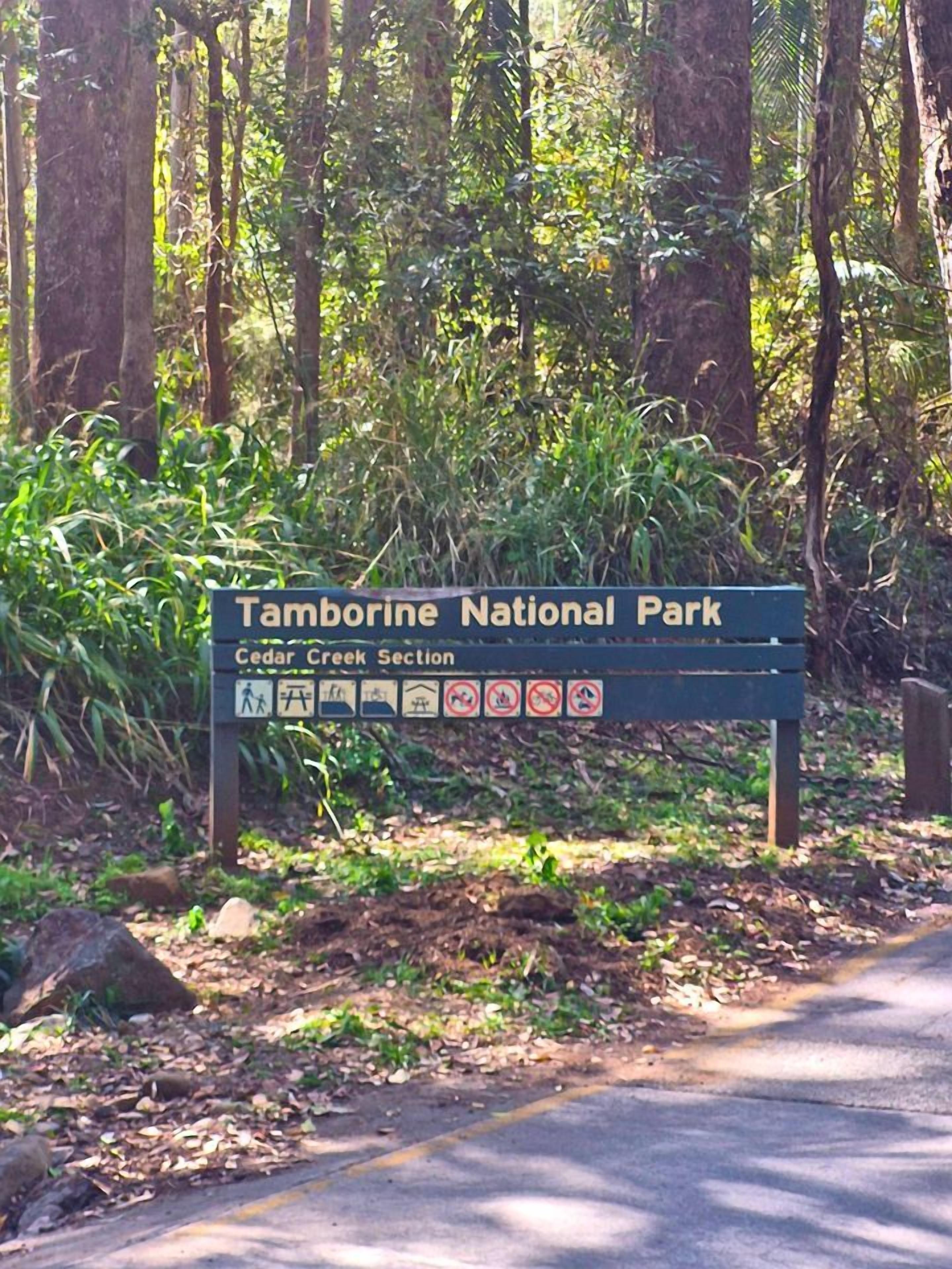 A sign for Tamborine National Park's Cedar Creek Section with hiking and camping symbols.