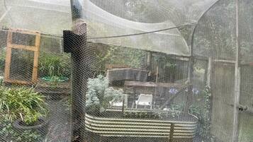 A greenhouse with a mesh enclosure, a wooden ladder, and a table with chairs inside.