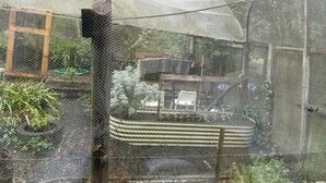 Unclassified image, 5 of 27, button - Comfy Tiny House Surrounded by Nature in Victoria (Daylesford)