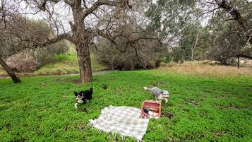 A grassy area with a picnic setup including a blanket and a basket.
