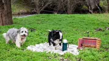 Dois cães em uma área gramada com piquenique, incluindo coberto, caneca e cesta.