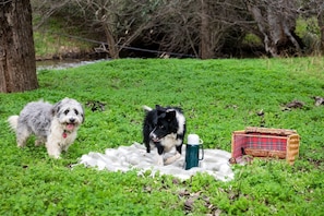 Two dogs on a grassy area with a picnic setup including a blanket, mug, and basket.