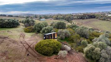 A modern building surrounded by vineyards, with a clear view of the landscape.