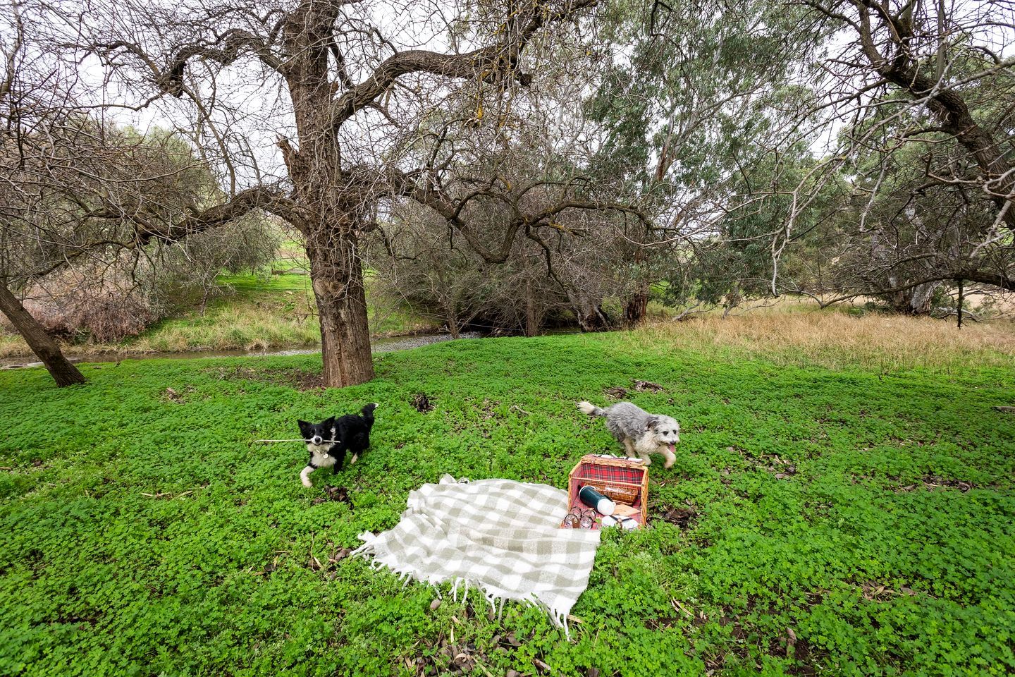 A grassy area with a picnic setup including a blanket and a basket.