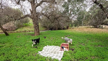 A grassy area with a picnic setup including a blanket and a basket.