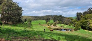 Unclassified image, 4 of 16, button - Tiny House with Farm Views and Cozy Fire Pit in Kernot, Australia (Kernot)
