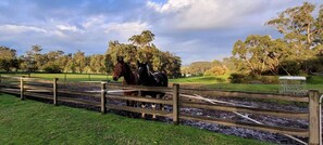 Unclassified image, 2 of 16, button - Tiny House with Farm Views and Cozy Fire Pit in Kernot, Australia (Kernot)