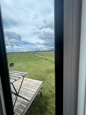 A view from inside a room with a wooden table and a window overlooking a grassy field with cows.