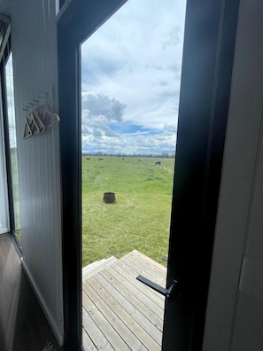 A view from inside a room with a door leading to a wooden deck.
