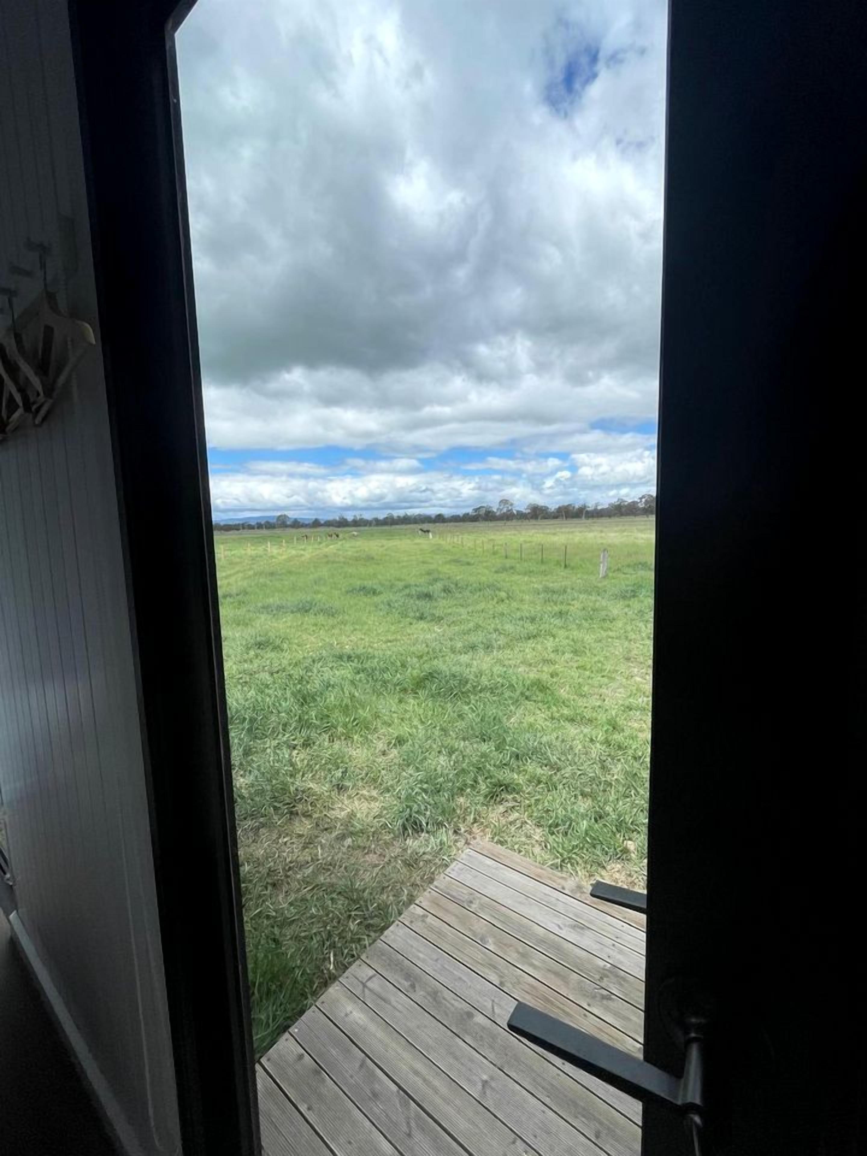 A view from inside a building looking out onto a grassy field with a wooden deck in the foreground.