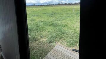 A view from inside a building looking out onto a grassy field with a wooden deck in the foreground.